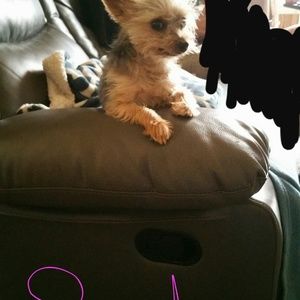 Meet your Posher, Lee ann